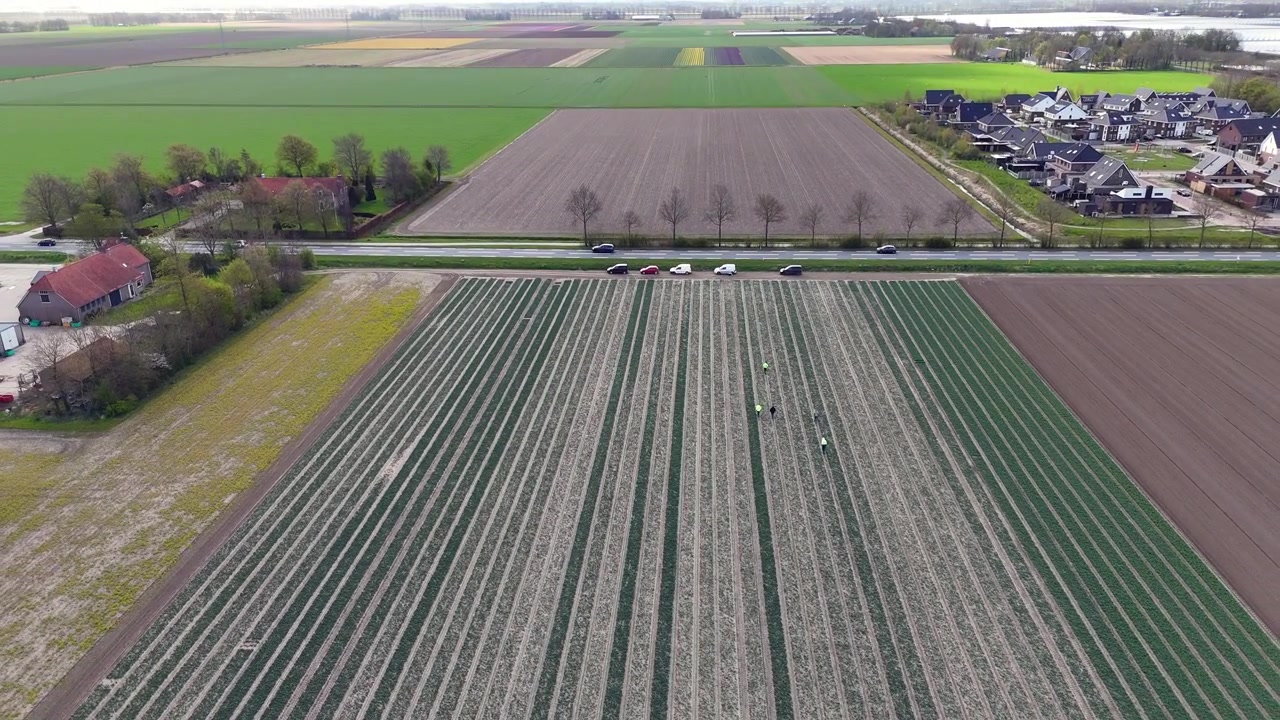 Droneopptak av den nederlandske landsbyen Ens, Noordoostpolder, Flevoland, Nederland. Jordbrukslandskap, kran med arbeidere på et jorde.