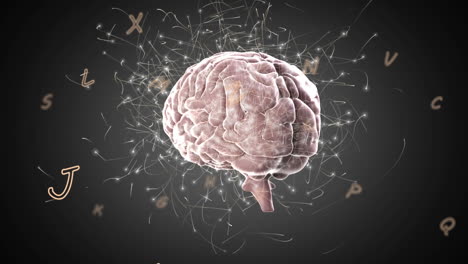 múltiples letras y una red de conexiones contra el cerebro humano girando sobre un fondo negro