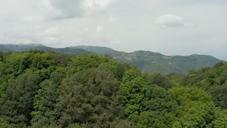 Aerial-view-flying-over-forested-mountains-and-valleys-in-Georgia