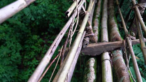 una toma de inclinación lenta que muestra el puente de raíces de ficus elastica hecho a mano por la tribu khasi
