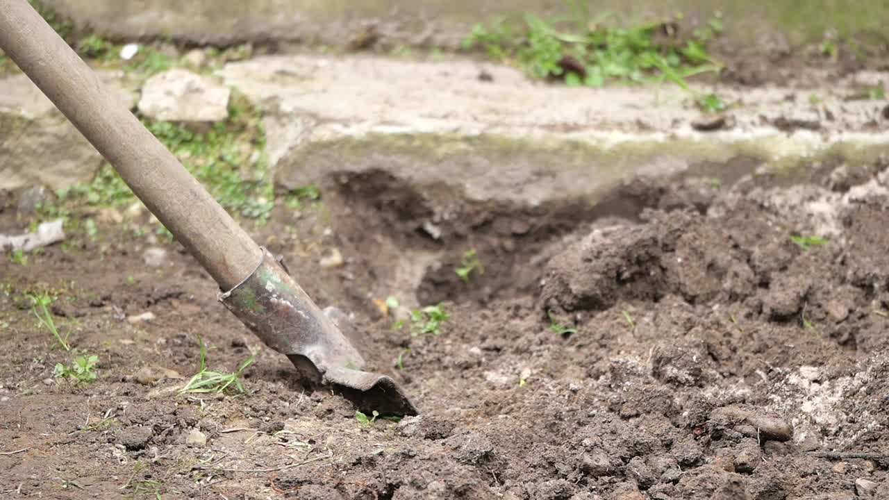 Digging a hole with a shovel