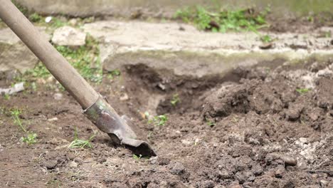 digging a hole with a shovel