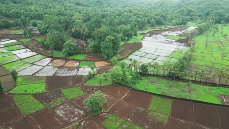 Campo-De-Cultivo-Vacío-En-Un-Bosque-Verde-Drone-Vista-Frontal-En-Movimiento-En-Konkan