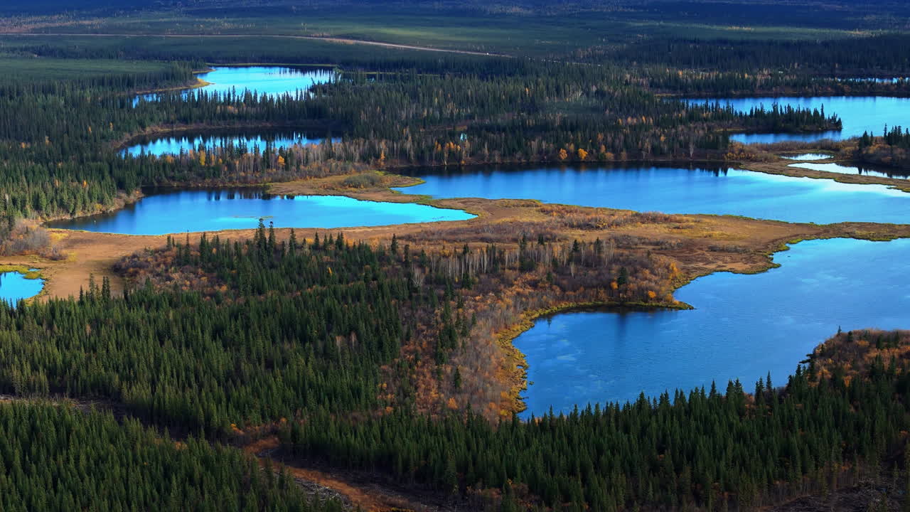 Panoramic Aerial View Of Spruce Forestland Near Fort McPherson In Northwest Territories, Canada. Aerial Drone Shot