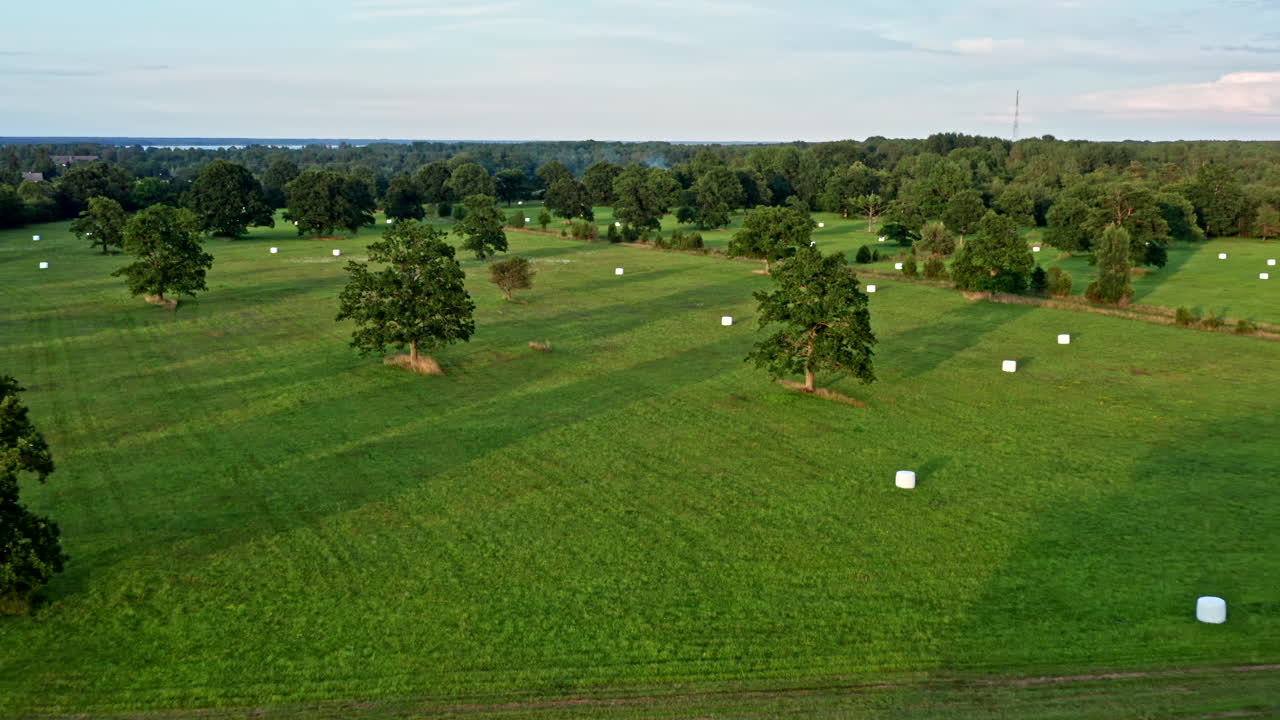 Estonian Hunting Grounds on Green Field with Forest Rural Landscape - Dolly Shot and Boom Shot