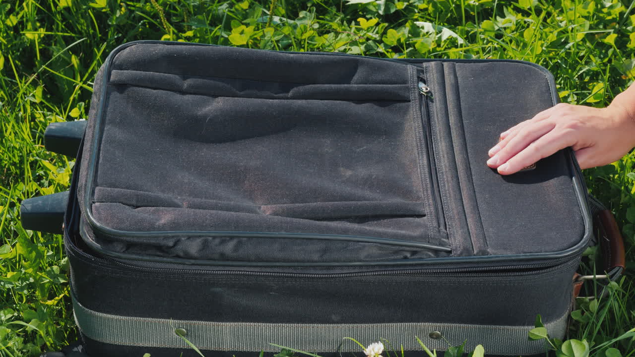 una maleta llena de cachorritos alegres yace sobre la hierba verde