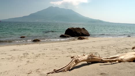 a view of the large driftwood and sakurajima on the sandy beach