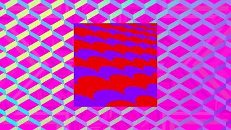 animación de un cuadrado rojo con ondas púrpuras sobre una cuadrícula de diamantes azules sobre un fondo rosa