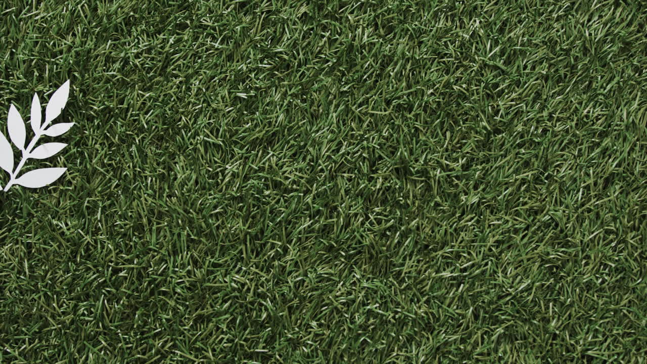 잔디 바탕에 잎과 복사 공간과 함께  비둘기의 근접