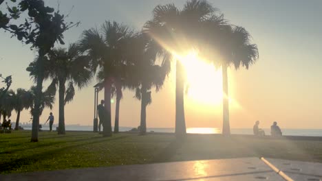 Lapso-De-Tiempo-De-Palmera-Y-Banco-De-Parque-Cerca-De-La-Playa