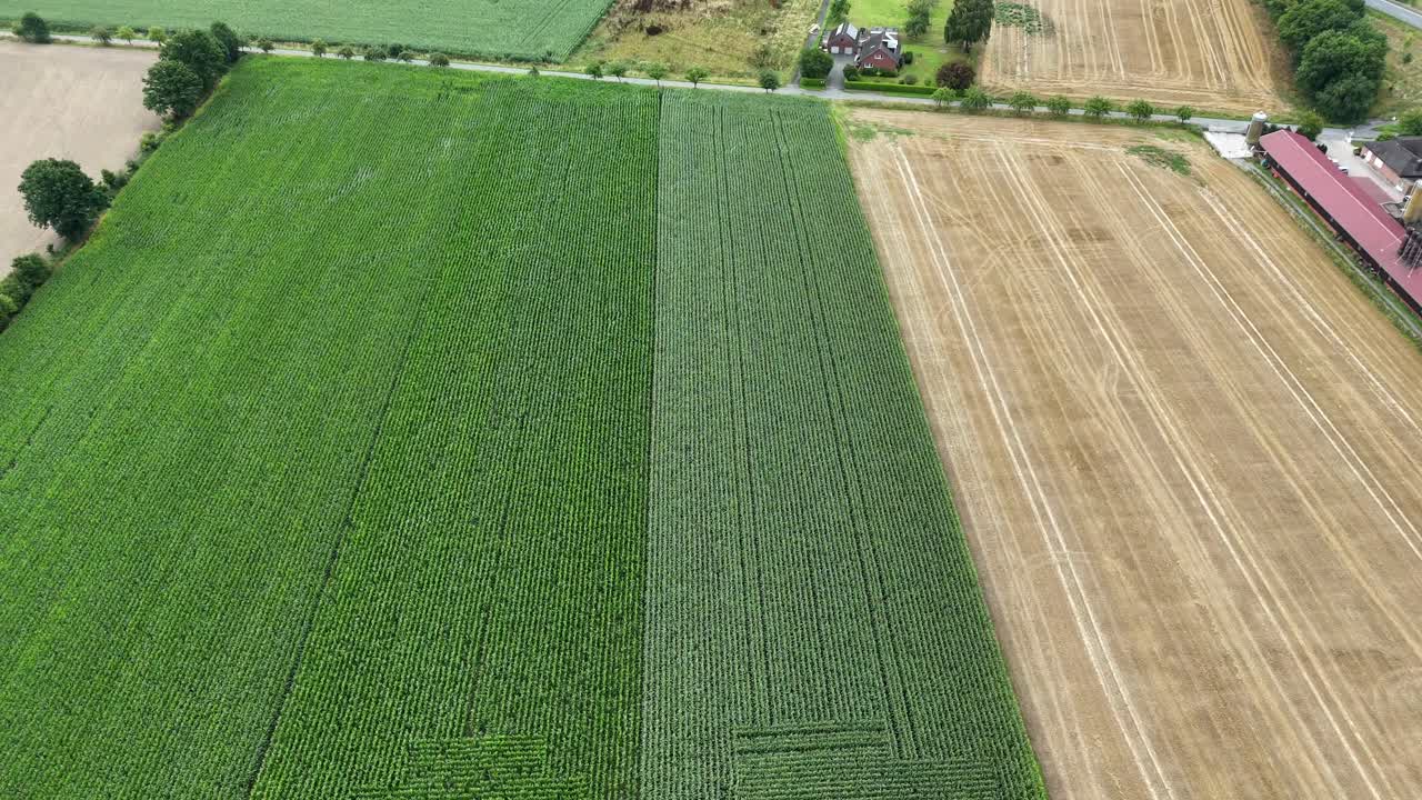 Cropland ok farmland growing in different colors. Maize, soy, wheat or barley in American countryside in summer. Pattern of cultivated agriculture fields in USA. Aerial top down side shot