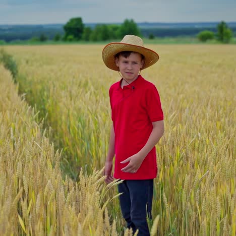 boy walking in field of wheat