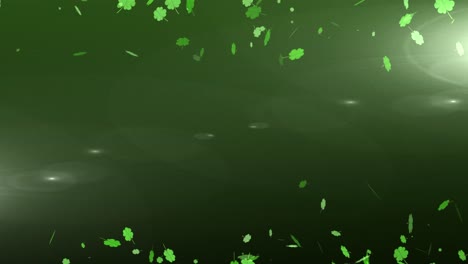 Animation-multiple-floating-green-shamrocks-on-top-and-bottom