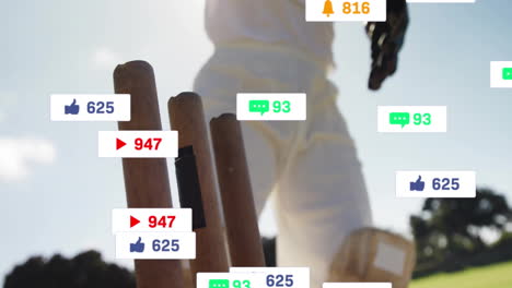 animación de iconos de las redes sociales con números crecientes sobre el jugador de cricket caucásico