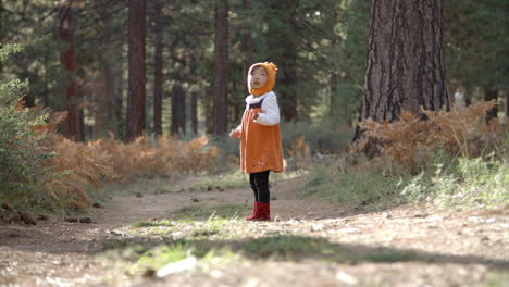 asian toddler girl playing with fallen pine cone in a forest