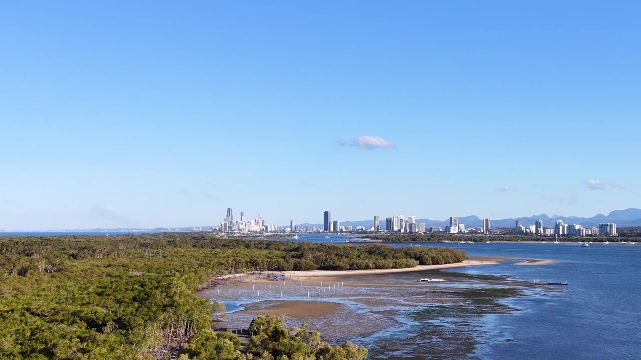 Ripresa aerea con drone sopra rigogliose mangrovie verso lo skyline della città in lontananza a South Stradbroke Island