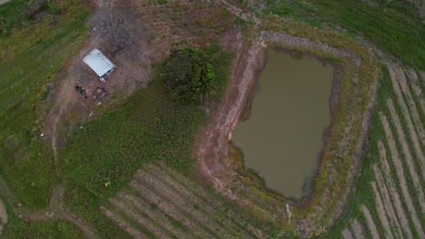 -Drone-Sobre-Un-Pequeño-Estanque-Y-Una-Casa-Solitaria