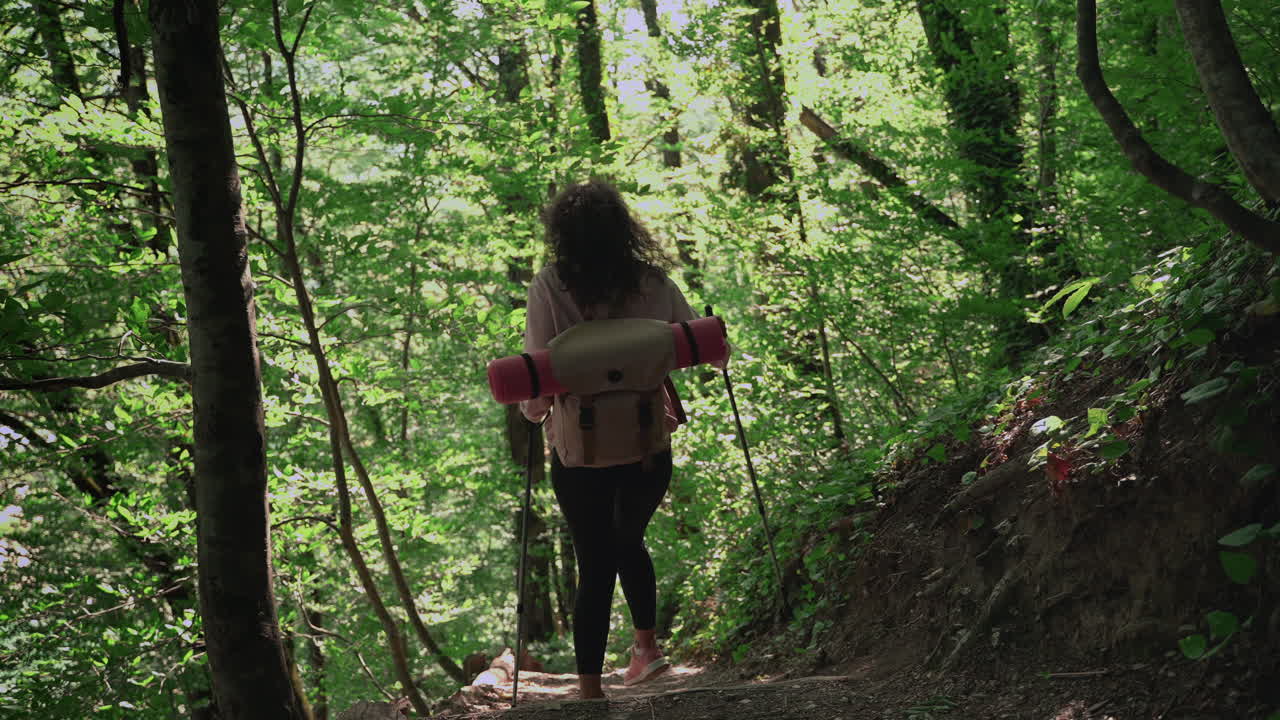 Woman Hiking in a Forest