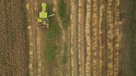 Top-down-drone-lifting-shot-of-a-green-harvest-combine-moving-over-a-grain-field