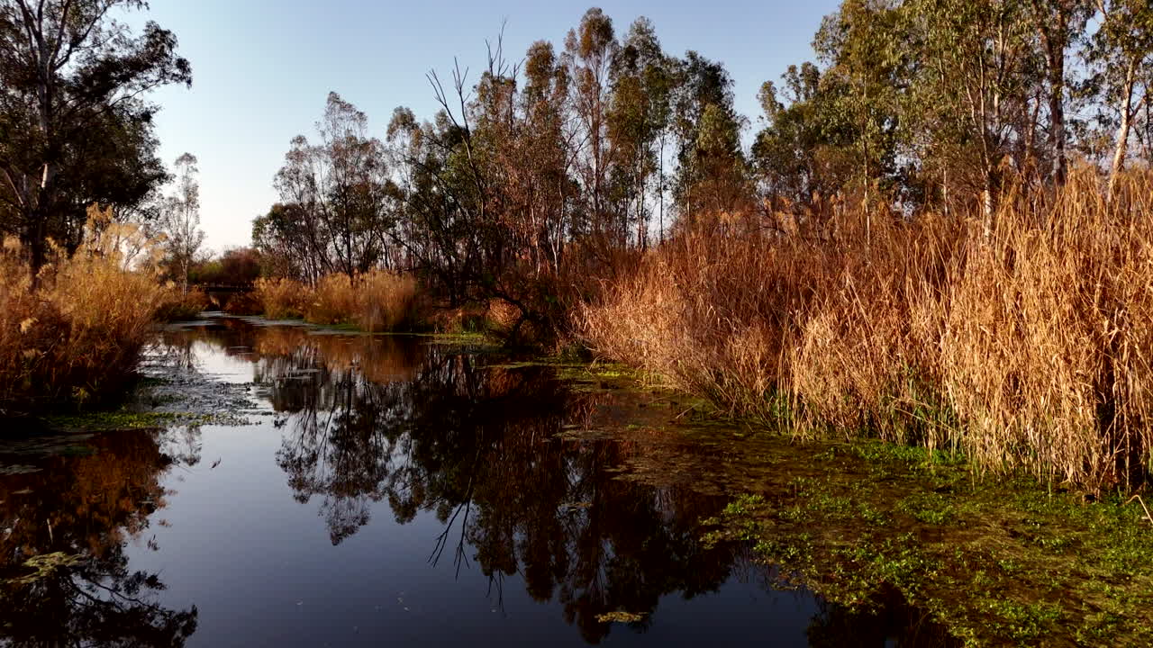 Peaceful River Landscape in Autumn