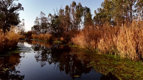 peaceful river landscape in autumn