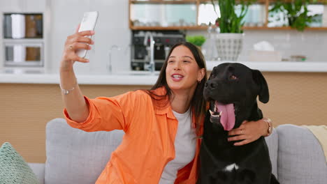 woman, dog and selfie on living room sofa in home