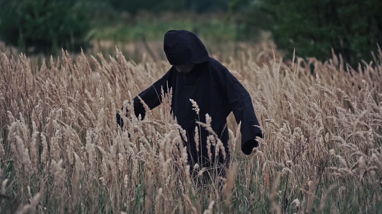 Scary evil figure in nature. Back view on scary ghost in black robe turning with outstretched arms on wheat field. Halloween concept.