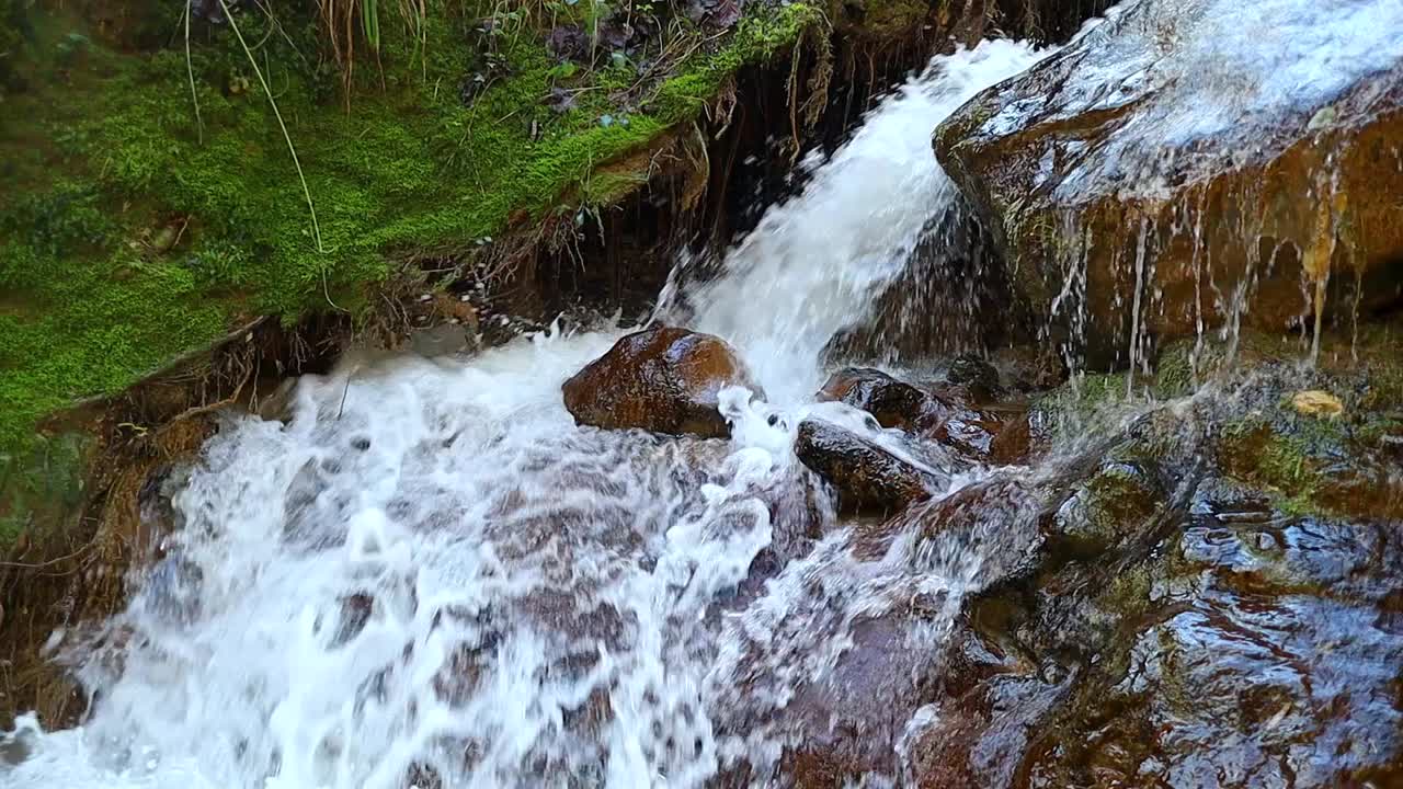 stream of water flows over the rocks and digs into the ground, green moss in the woods, side view