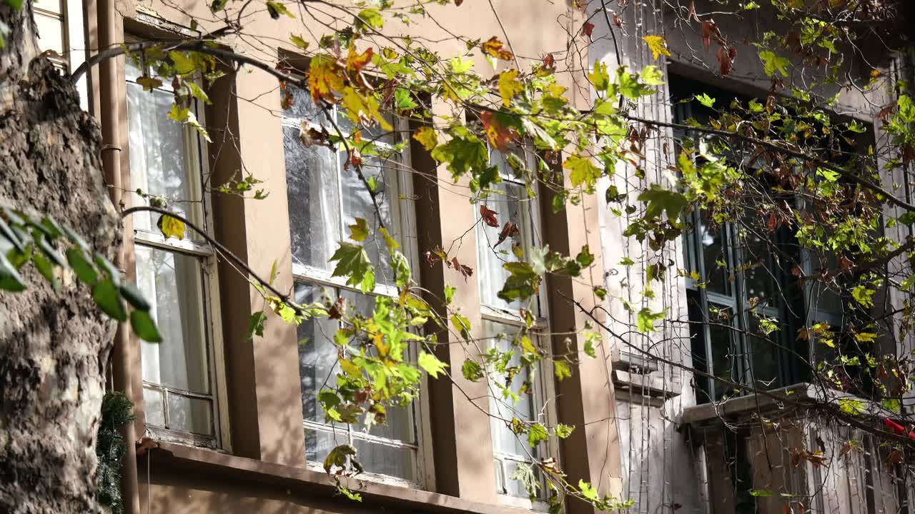 Fachada de edificio con follaje otoñal