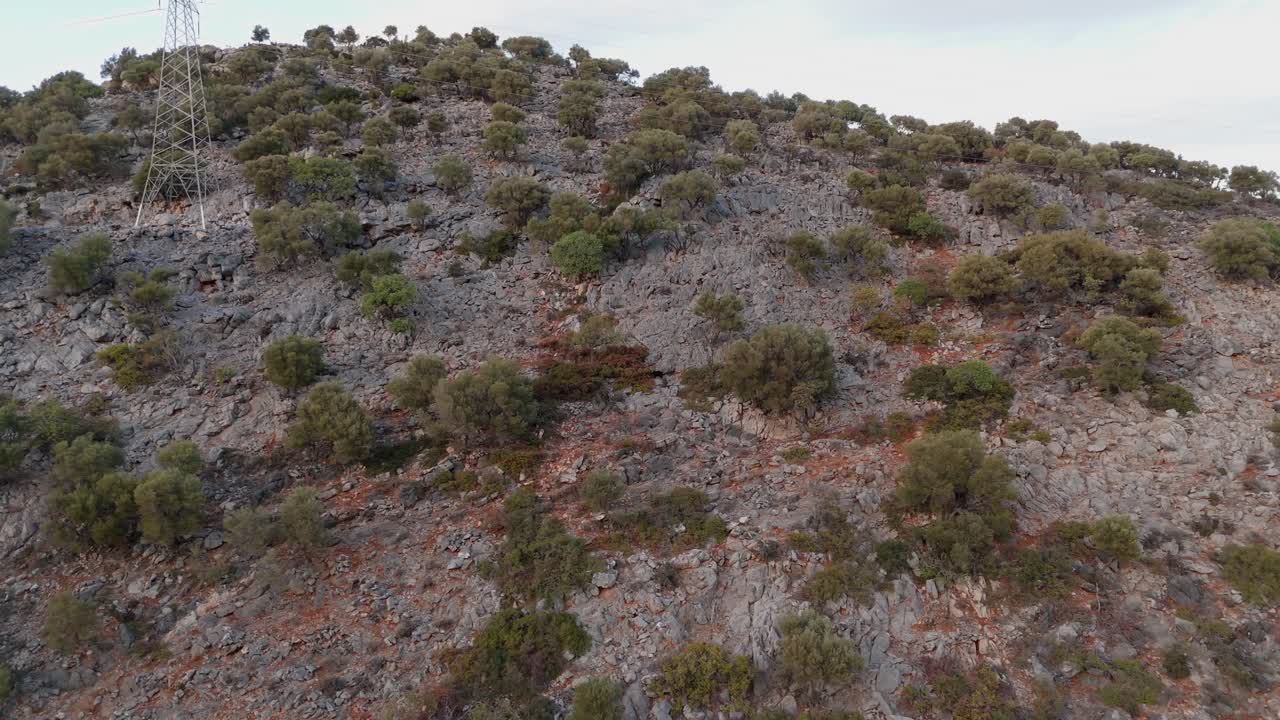 ladera de la montaña con cabras pastando entre rocas y árboles, isla de creta, grecia