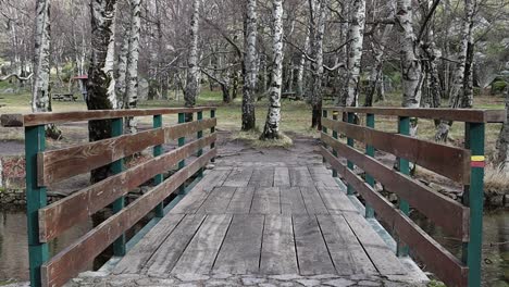 walking bridge in serra da estrela national park with forest in background
