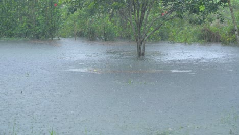 fuertes lluvias sobre un lago en joya de los sachas, ecuador, sudamerica