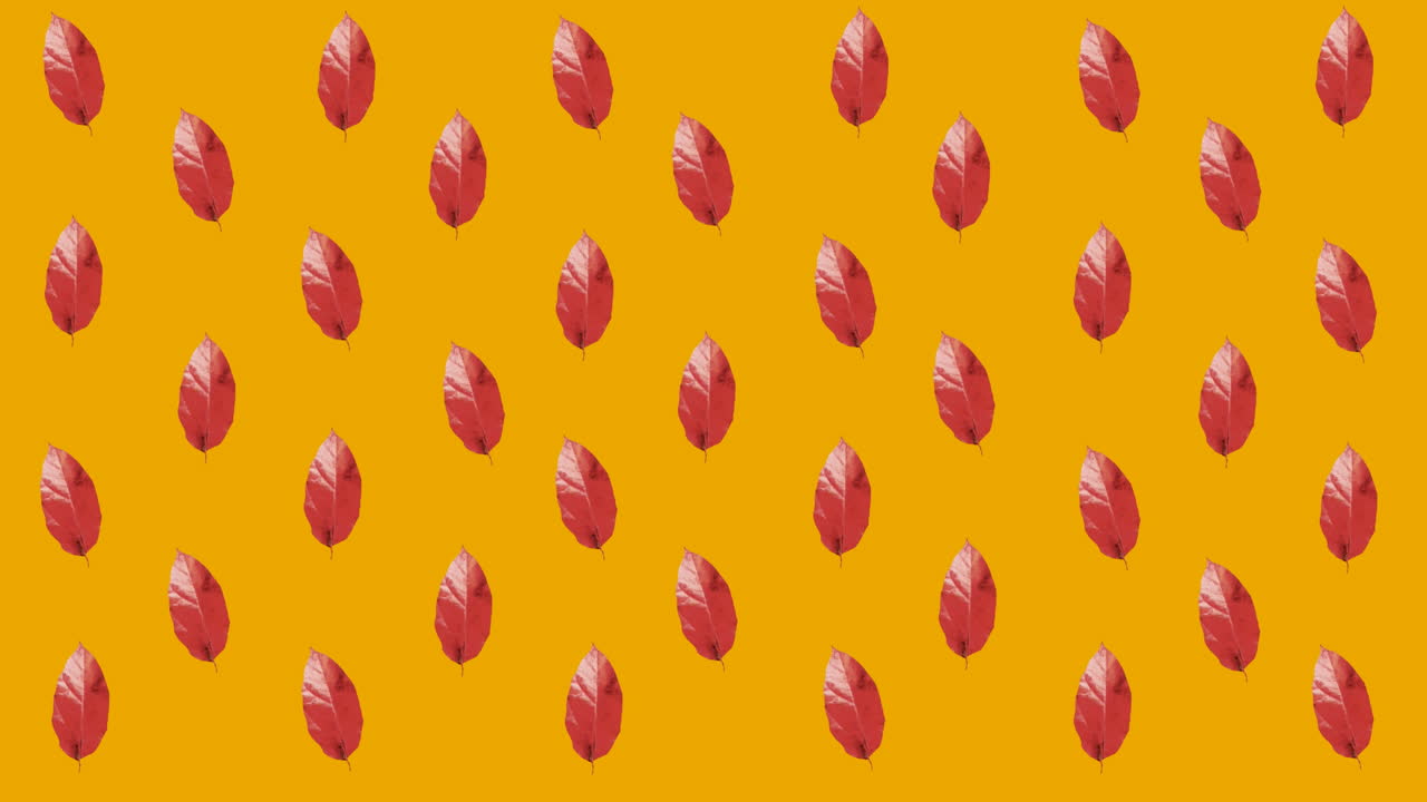 animación de múltiples hojas rojas de otoño sobre un fondo naranja