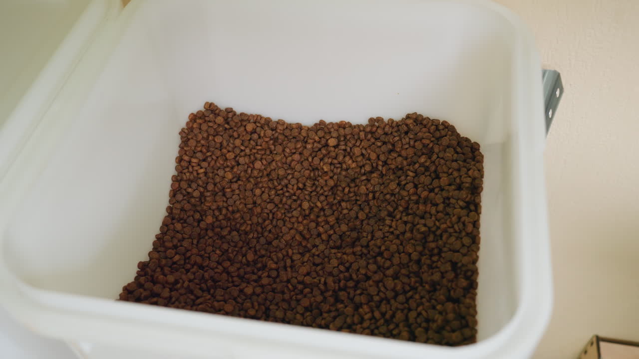 Eine Hand schöpft Trockenfutter mit einem grünen Messbecher aus einem Vorratsbehälter. Der Messbecher hebt trockenes, braunes Trockenfutter aus einem weißen Plastikbehälter. Ein Ärmel aus Jeansstoff ist sichtbar, Speisekammer oder Küche im Hintergrund, abgemessene Portion für das tägliche Haustier