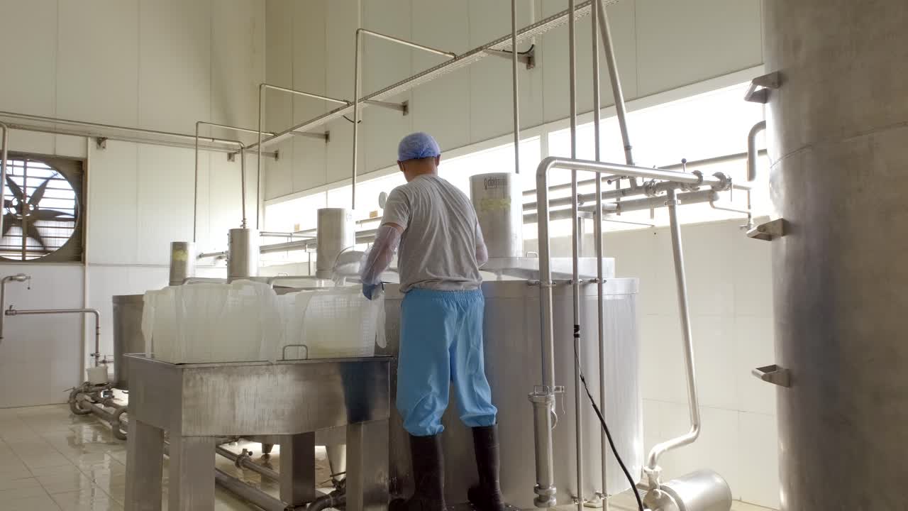 Milk pouring into the boiler at the cheese production plant