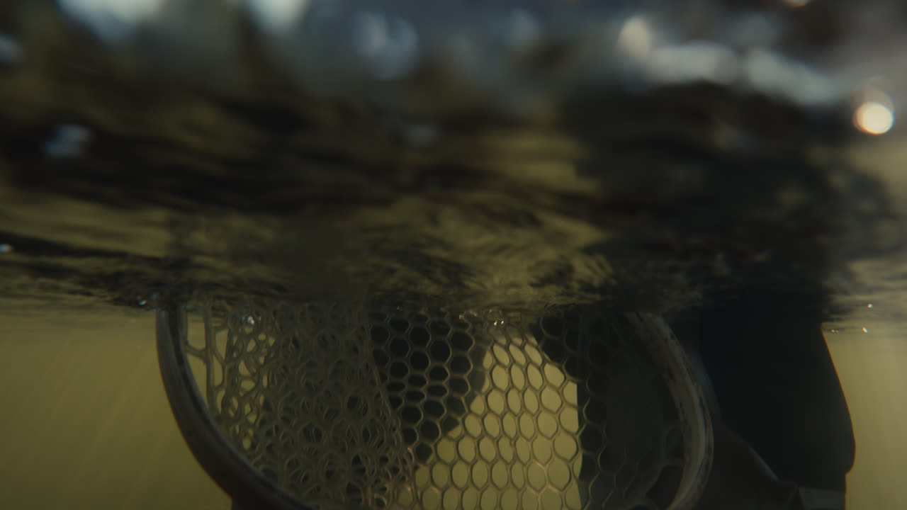 Pesca a mosca in un fiume