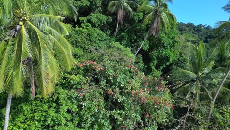 Tropical-paradise-secluded-serene,-sandy-beach-alongside-lush-forest-clear-blue-water