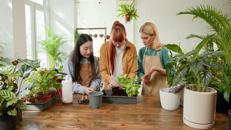 mujeres aprendiendo a plantar plantas en macetas