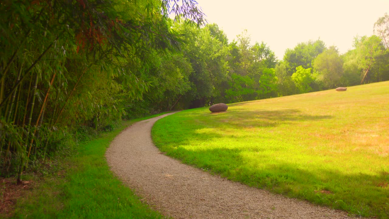 Sunny day on a peaceful winding path near a grassy field and trees