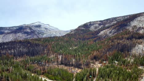 bosque de paisaje montañoso en california, área del lago tahoe, vista aérea
