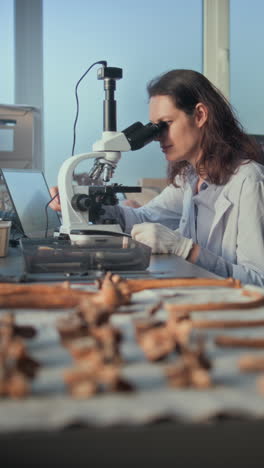 scientist examining bones in a laboratory