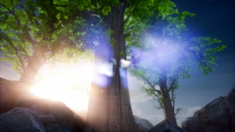 4k sun beams through trees at rock