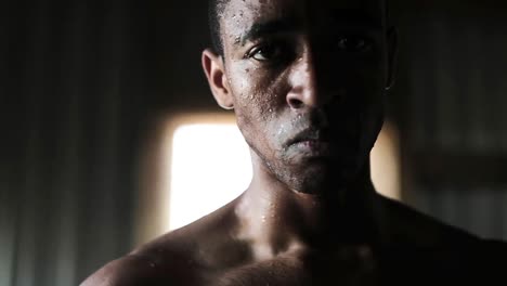 boxer standing in the gym