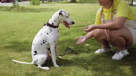 woman training a dog