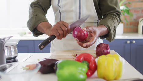 Mid-section-of-man-wearing-apron-skinning-onions-in-the-kitchen-at-home