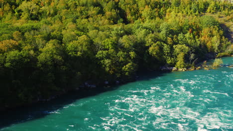 niagara river forested banks