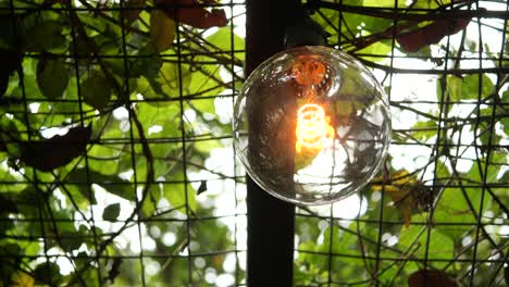 vintage edison bulb hanging from a metal grid with vines