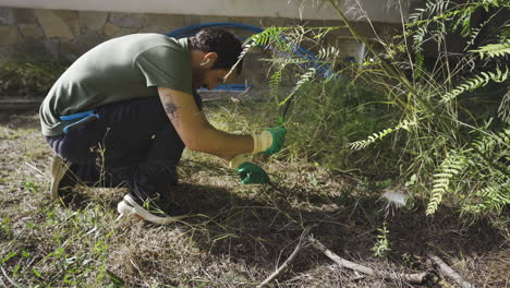 young male weeding in the garden and preparing soil for the next sowing of new plants