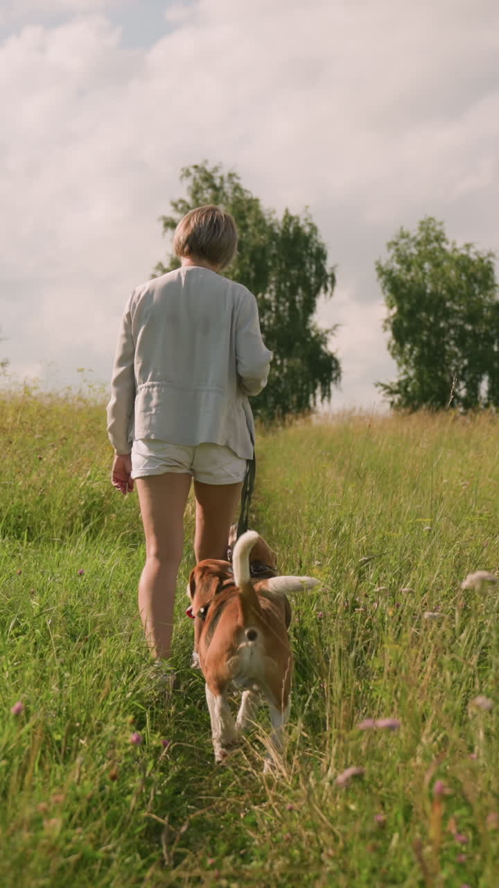dueña de perro caminando con su perro en la correa en el campo de hierba mientras el segundo perro sigue detrás, disfrutando de un paseo pacífico por la naturaleza en un día soleado, rodeado de vibrante hierba verde y árboles