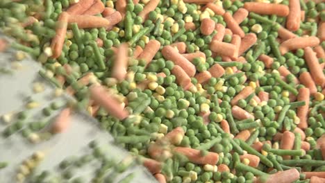 Production-line-with-frozen-peas-and-carrots